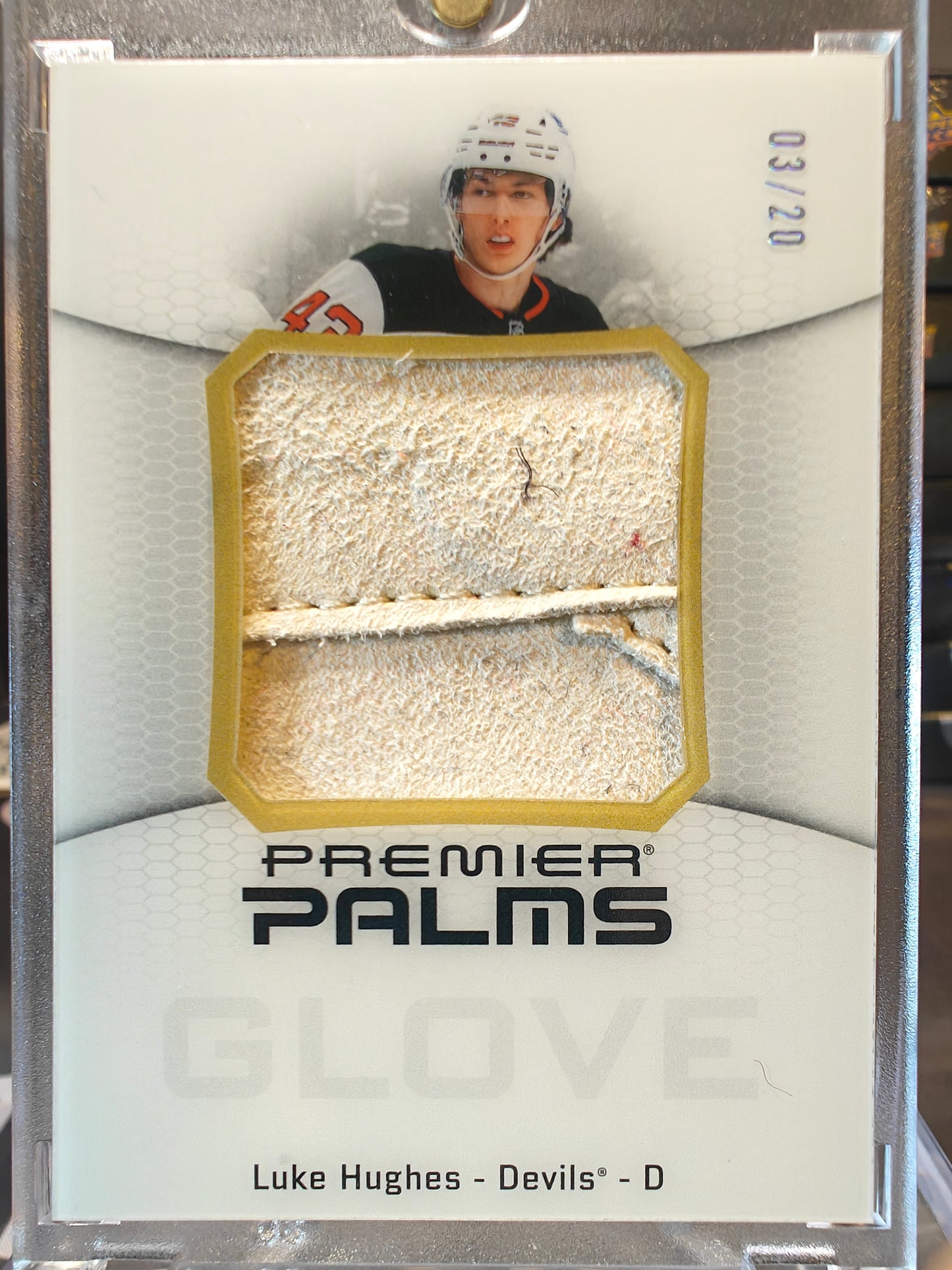 2025-26 Premier Palms Glove Luke Hughes /20