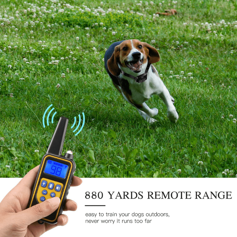 Dog Training Collar - Electronic with Remote
